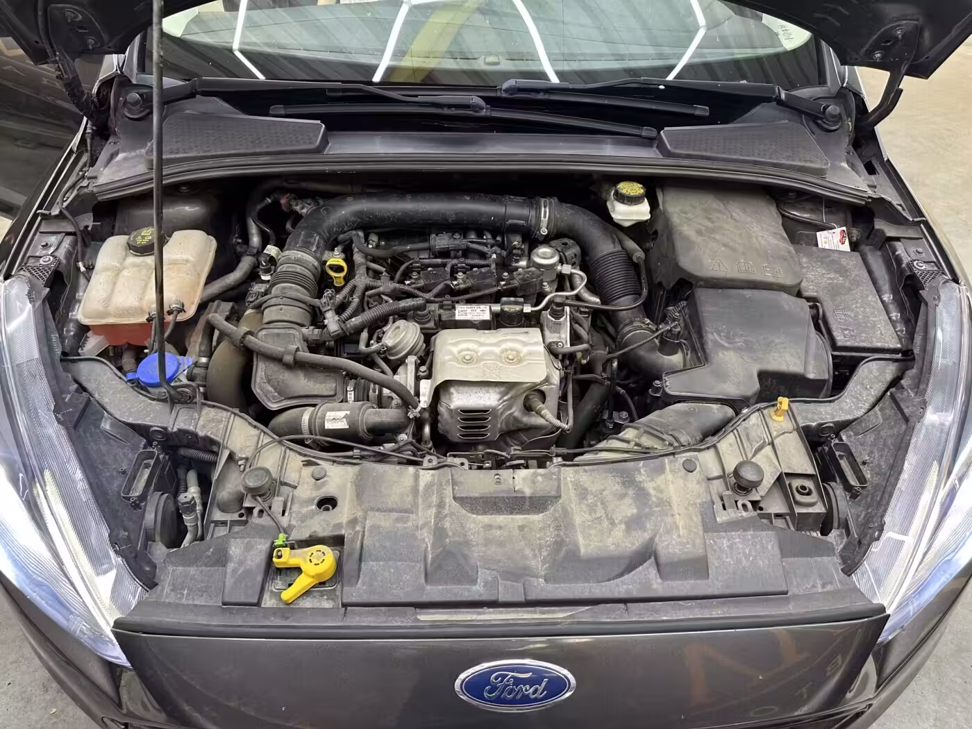Ford Focus фото 30