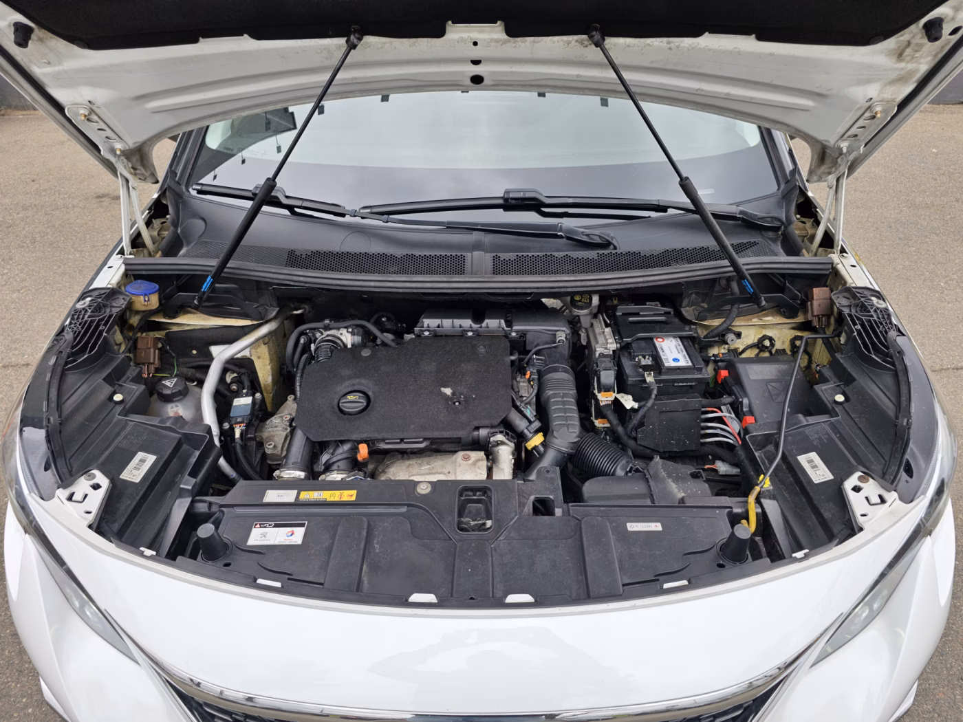 Peugeot 3008 фото 10