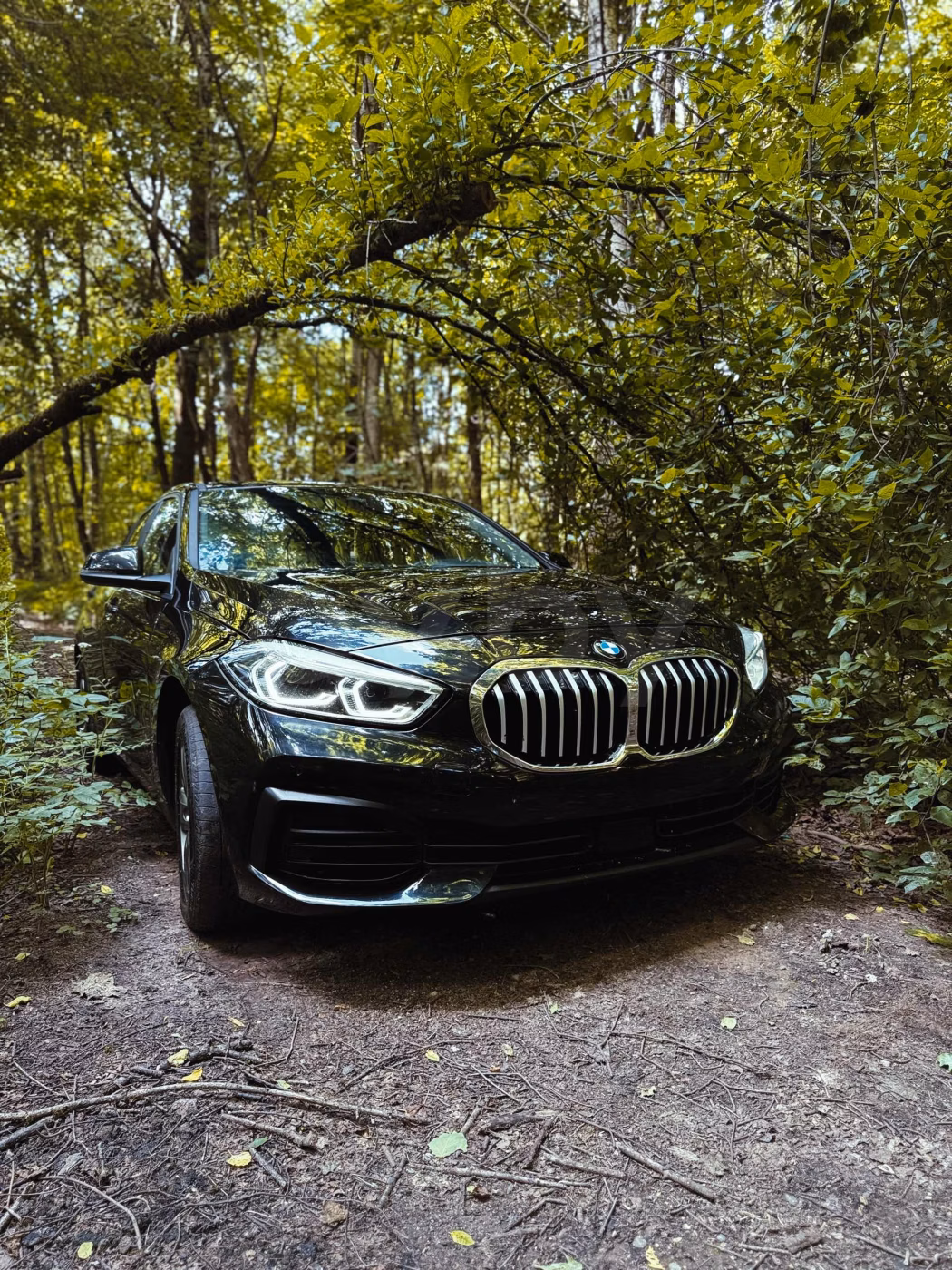 BMW 1 серия