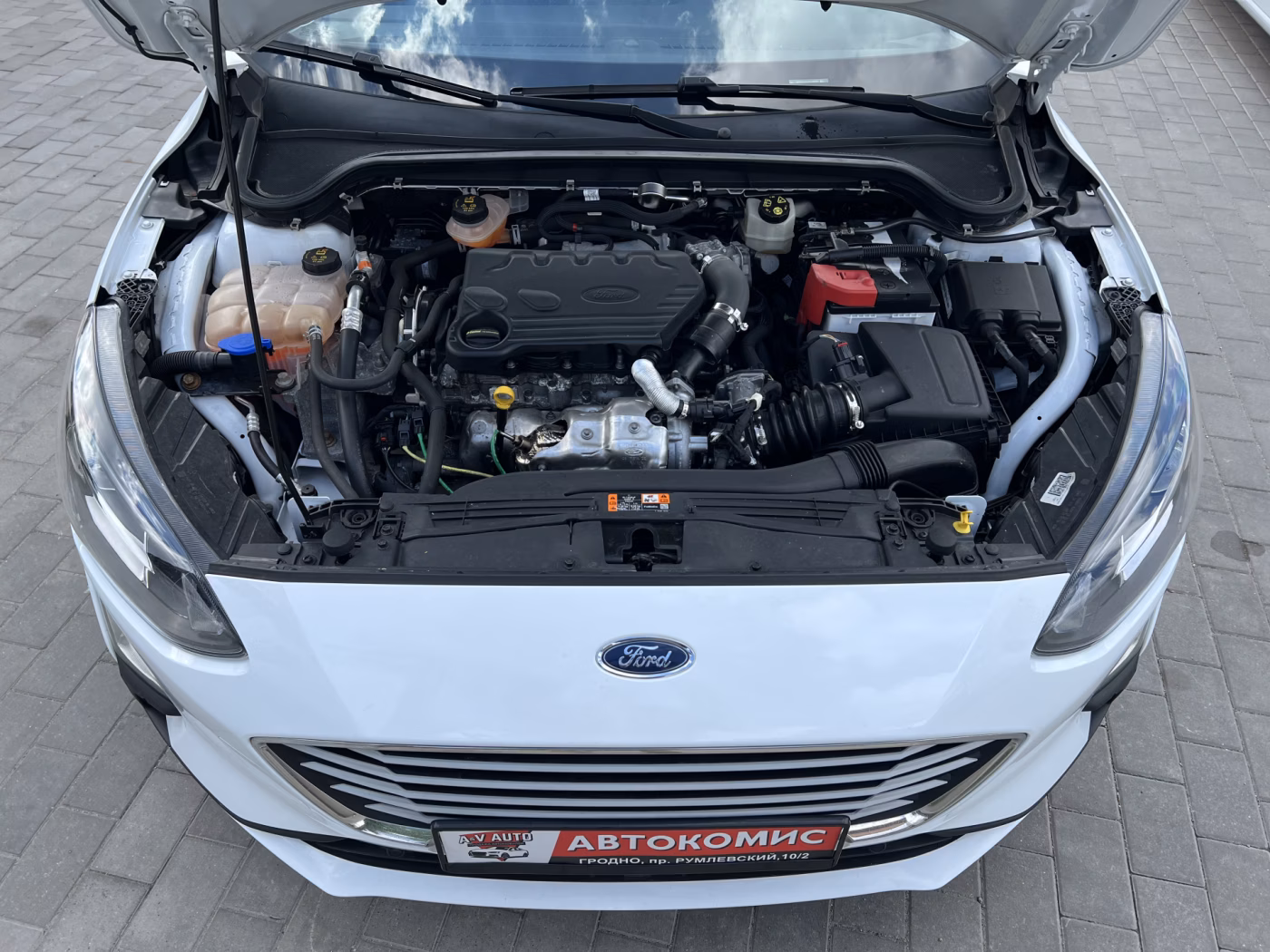 Ford Focus фото 11