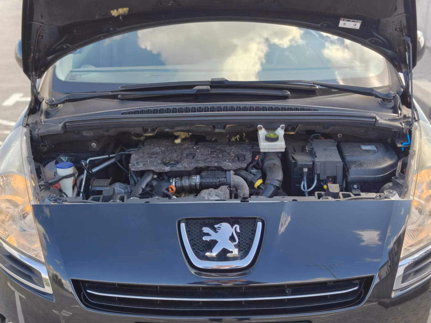 Peugeot 5008 фото 6
