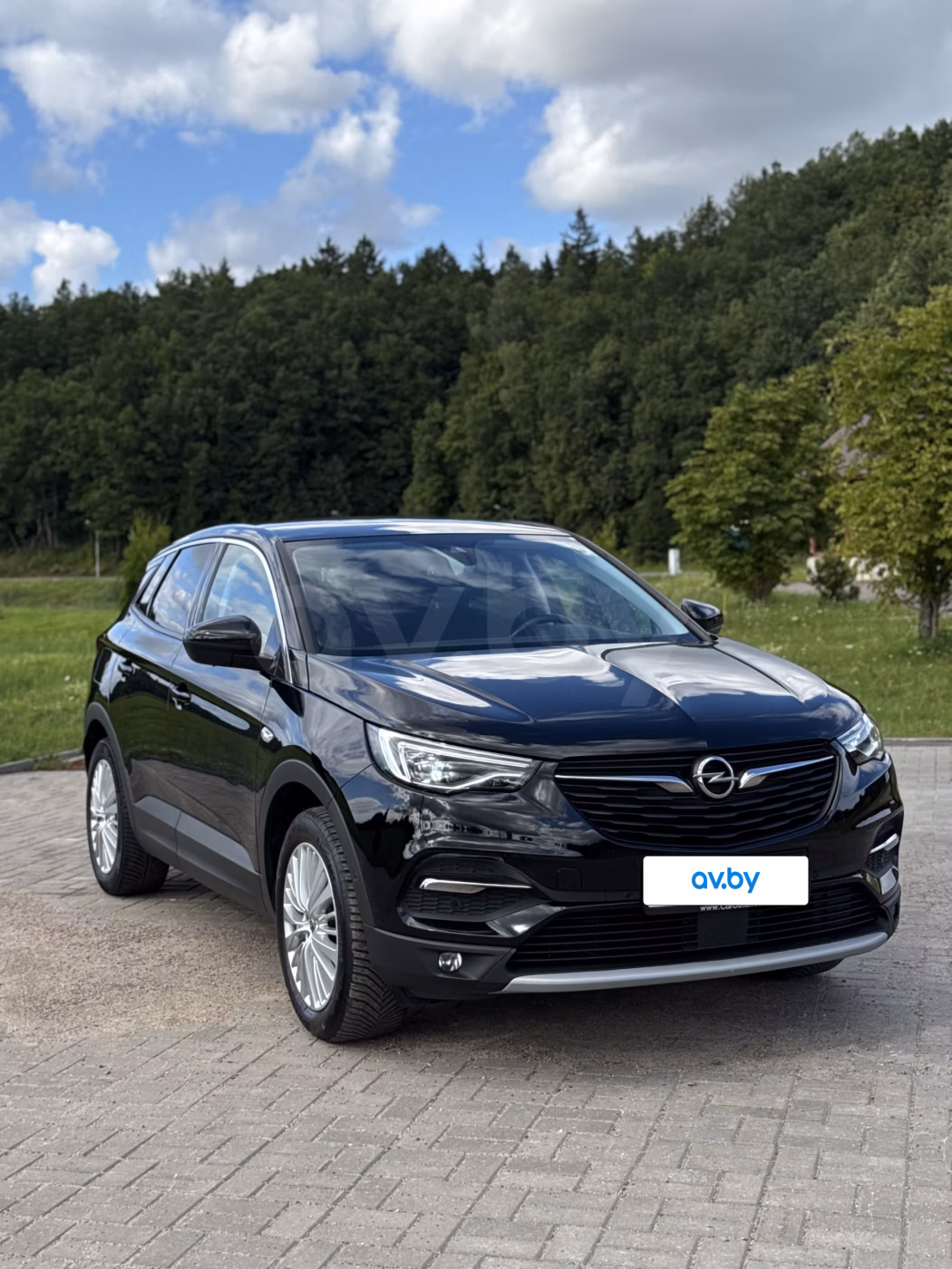 Opel Grandland X фото 3