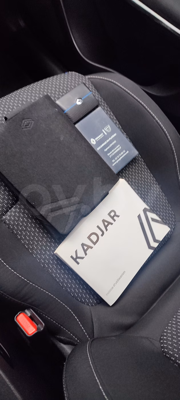 Renault Kadjar фото 24
