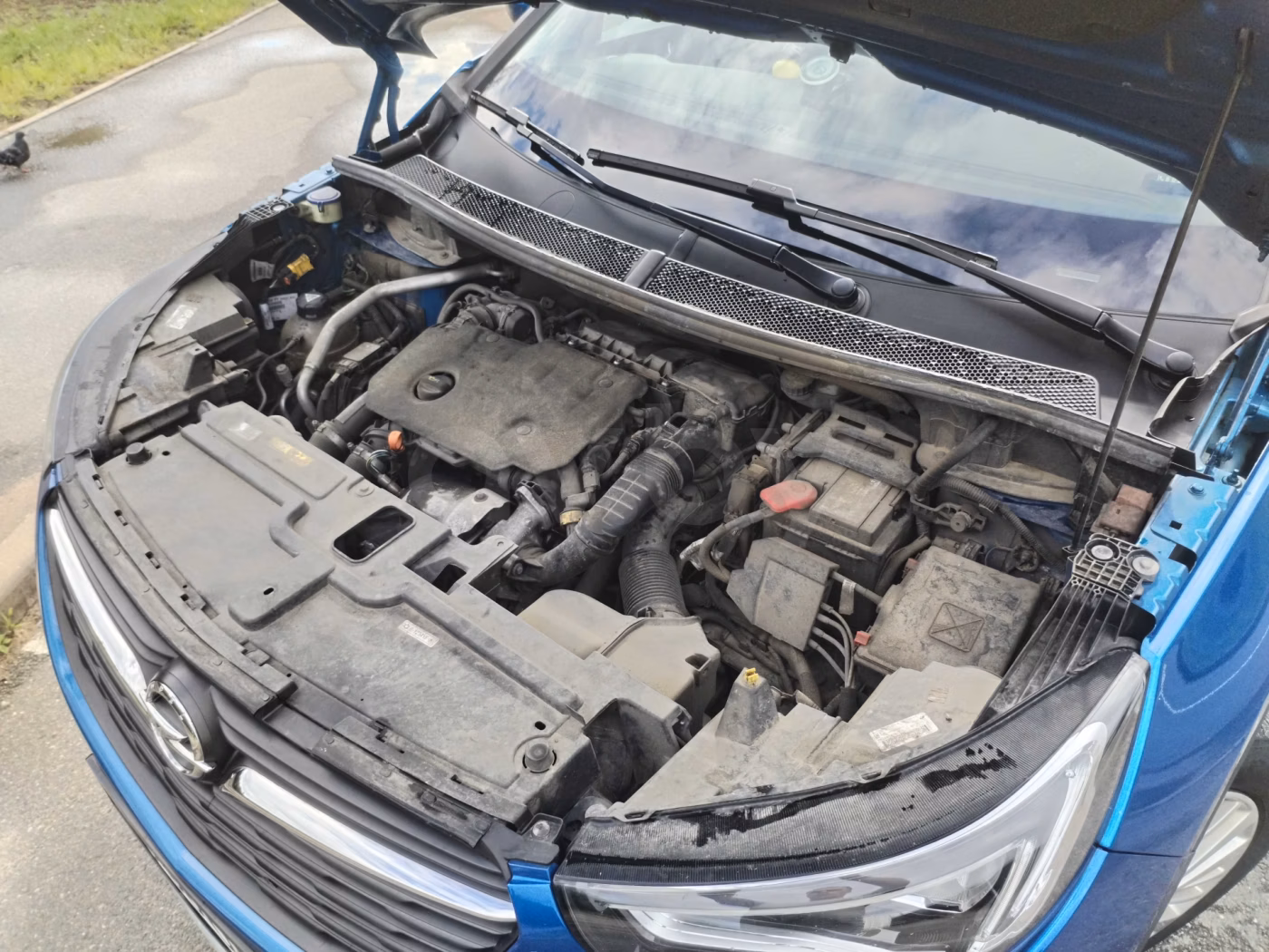 Opel Grandland X фото 27